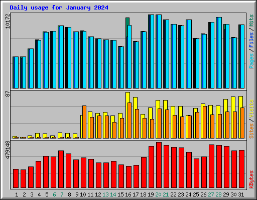 Daily usage for January 2024