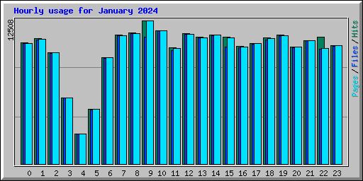 Hourly usage for January 2024