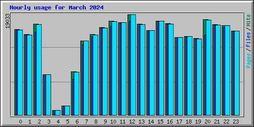 Hourly usage for March 2024