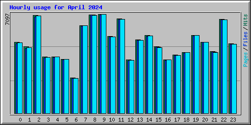 Hourly usage for April 2024