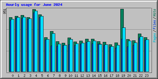 Hourly usage for June 2024